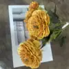 Amarillo