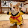 B02303taekwondo