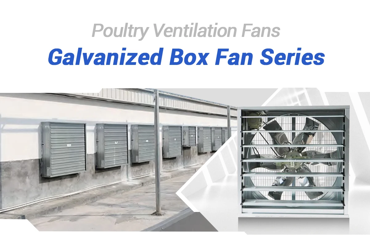 push-pull galvanized exhaust fan