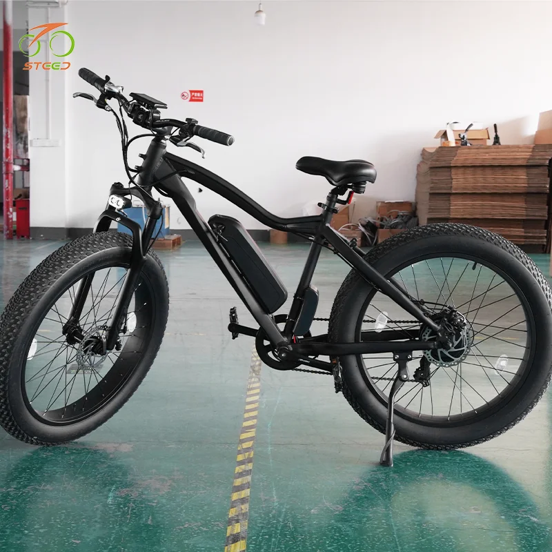 Steed Two Seat Korea Electric Bike Us Sports for Courier E-bike Electric  Mountain Bike