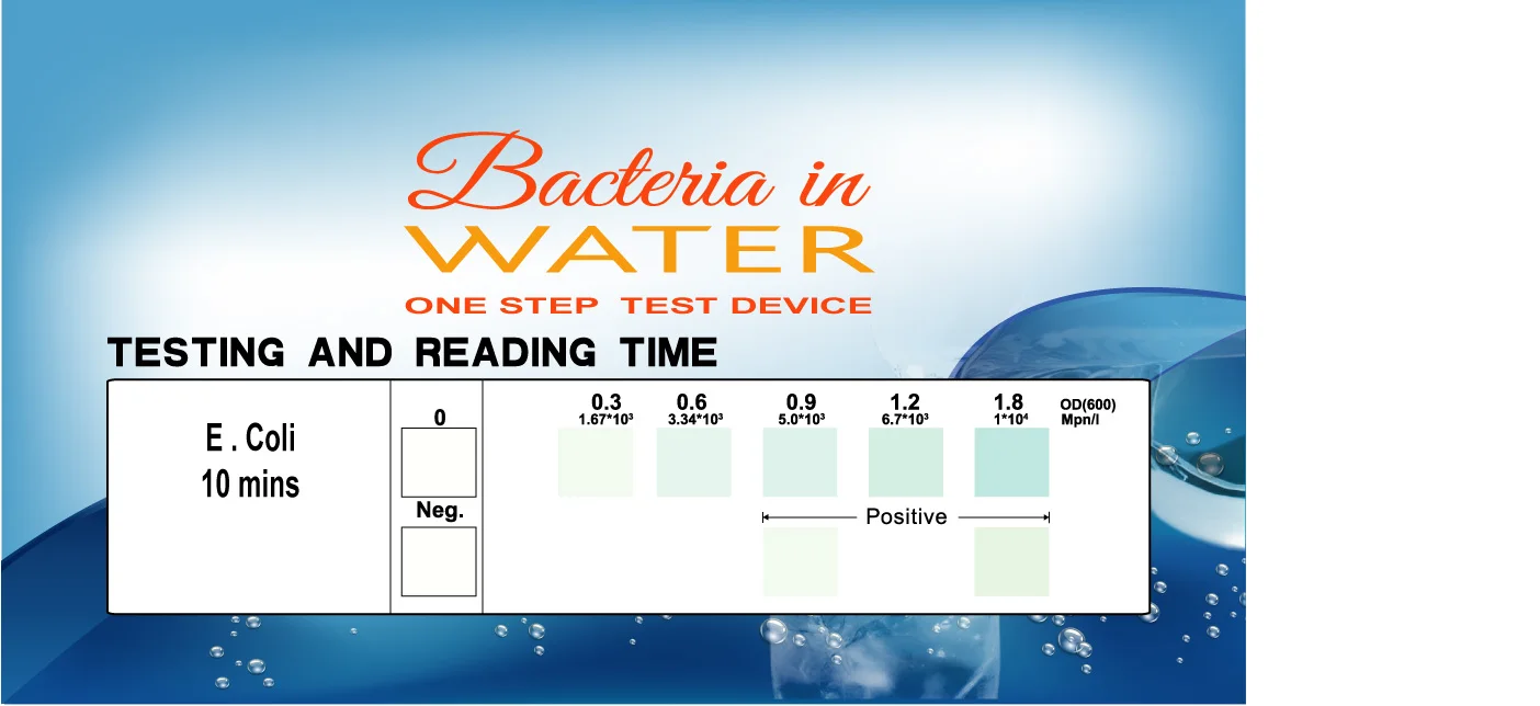 E.coli And Coliform Water Test Kit Buy Escherichia Coli Water Test