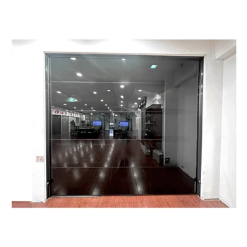 Glass Garage Doors For Dealers Cheap Aluminium Door Sectional Price Aluminum Security Graphic Design Modern Waterproof Black