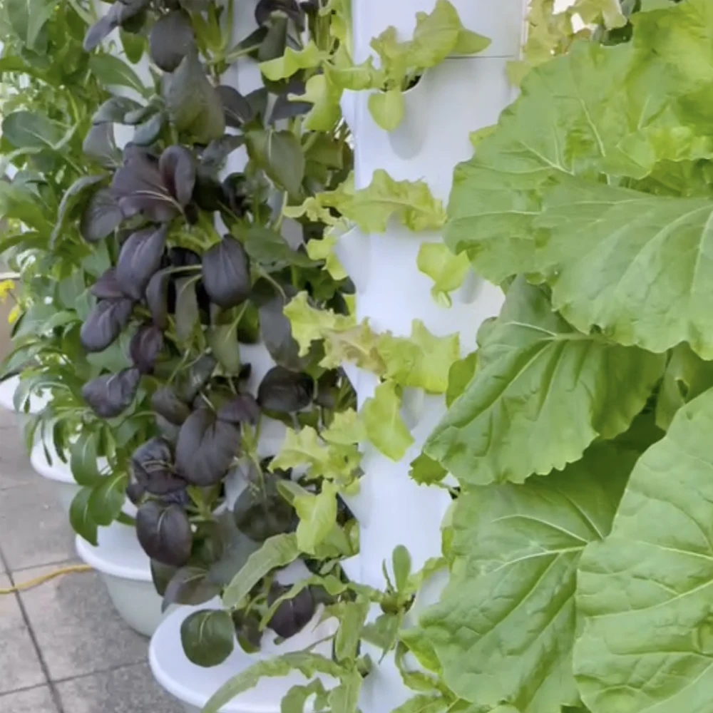 8-Quart Digital Air Fryer