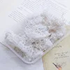 Muschio bianco (circa 10 grammi)