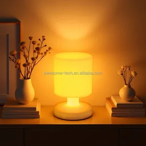 Hot Sales Modern Design Rechargeable LED Table Lamp Hotel Bedroom Bedside Night Light for Living Room for Bedroom Living Space