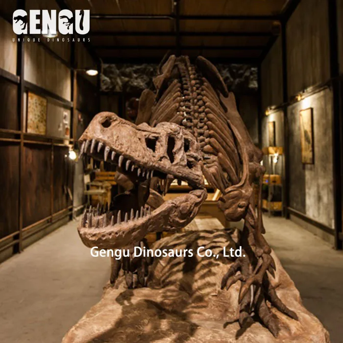 High Quality Dinosaur Skeleton and Fossils