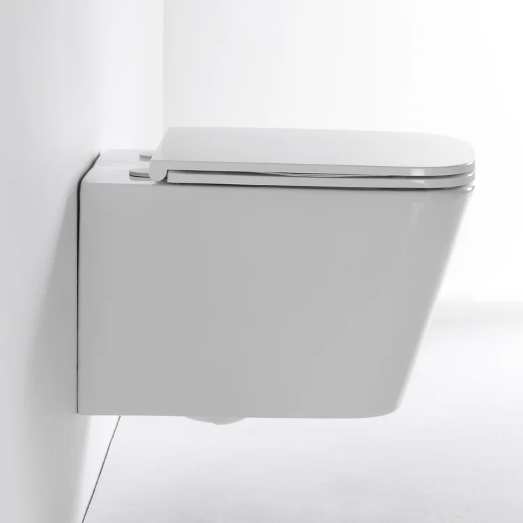 Rimless Wall Hung Toilet