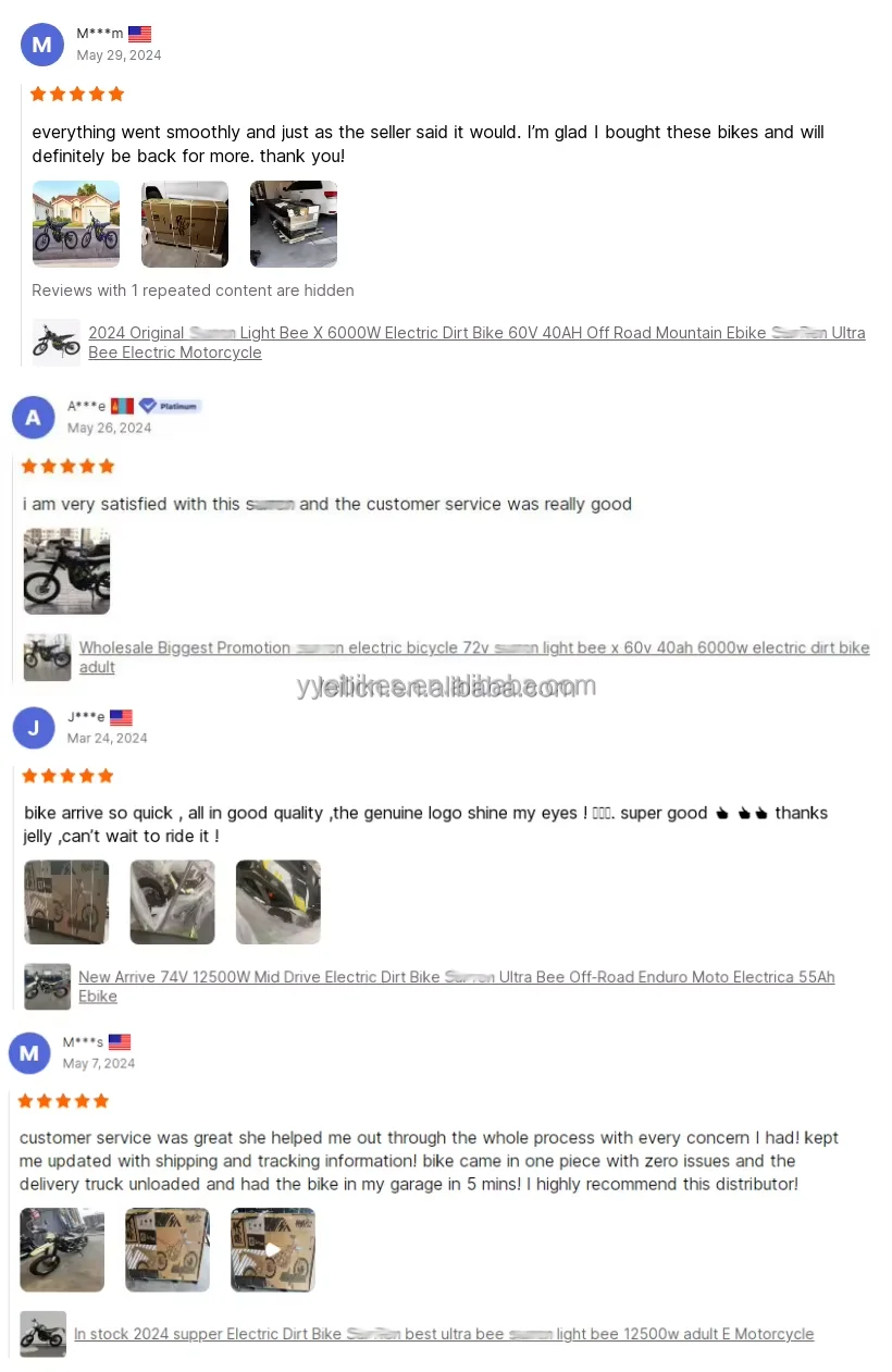 Surron Electric Bike Ultimate Power and Performance