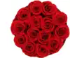 14 rose