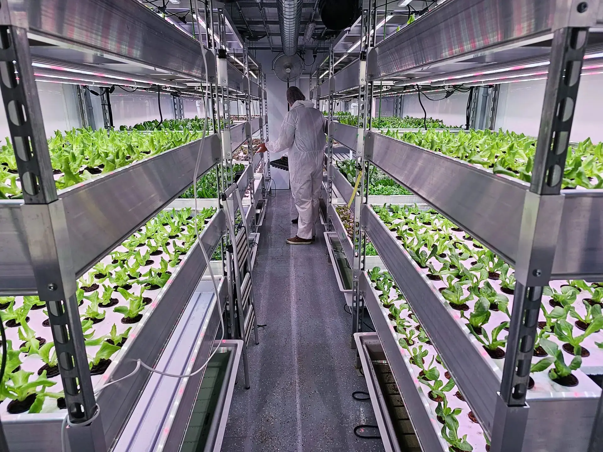 Large Vertical Farming System Container Hydroponic Greenhouse for Shipping and Mushroom Farming