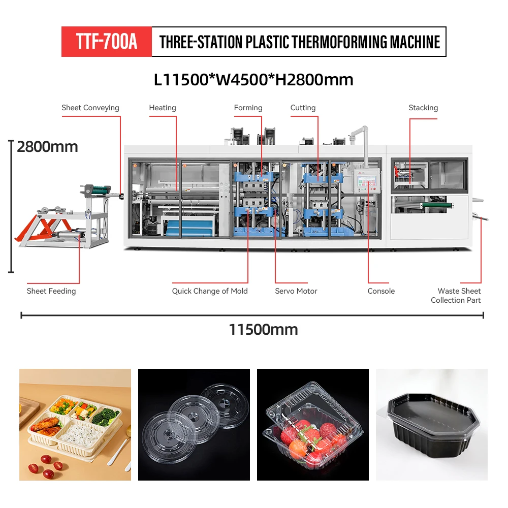 Thermoforming Machine for Pet Fruit Container Chocolate Box Cheese Box