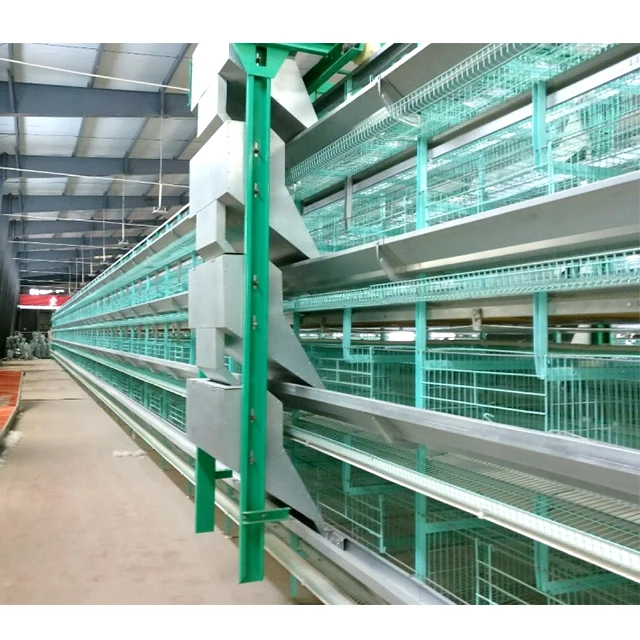 Chicken Poultry Farm Equipment automatic layer Cages system for 10000 Layer Chicken