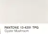 Oyster Mushroom