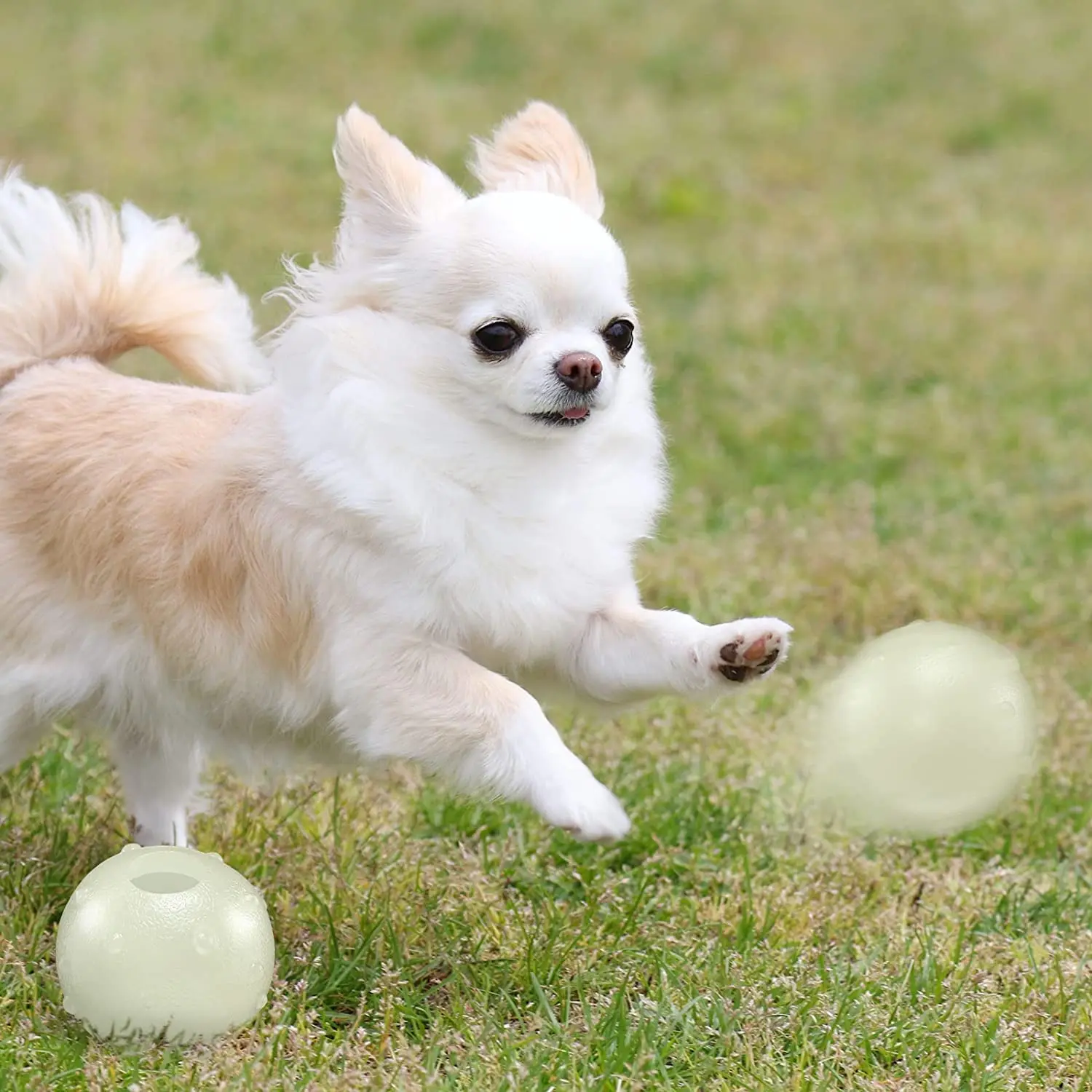 Light Up Dog Ball Glow In The Dark Rubber Dogs Fetch Toy Balls Come