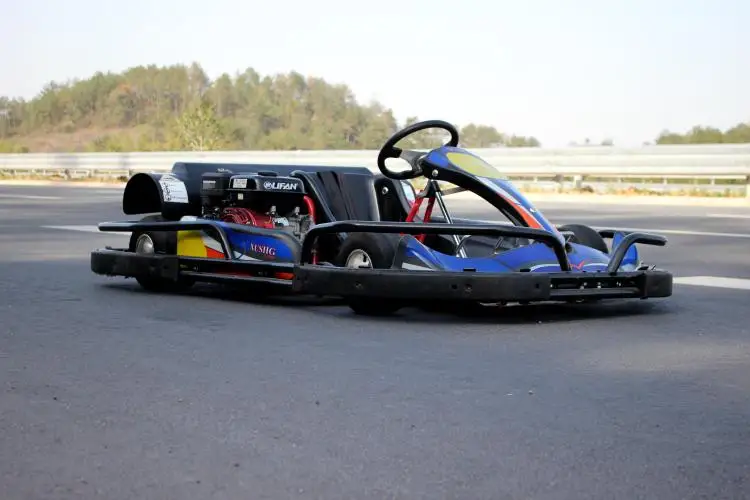 Playground Sports 1 Style Racing Track Go Kart Single Two Seat Adult ...