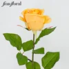 Yellow SY1234