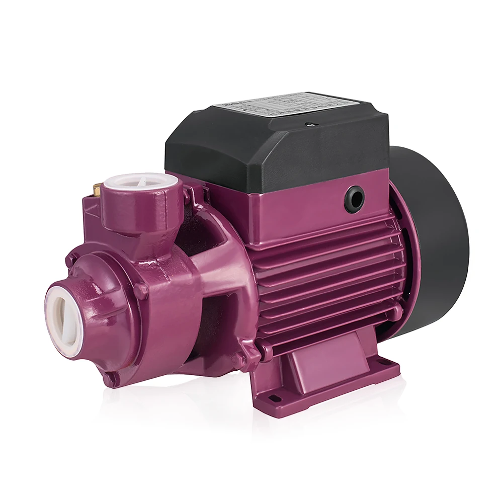 2022 QB электрические насосы qb60 0.5hp qb70 0.75hp qb80 1hp водяной насос