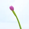SKU-2