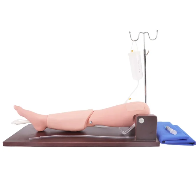 DARHMMY Durable Natural Size PVC Medical Science Model Mannequin for Bone Marrow Puncture and Femoral Venipuncture