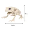 Rana