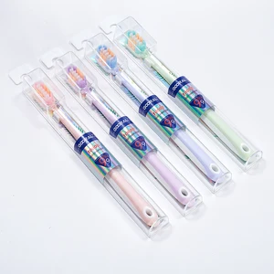High Quality Nylon Bristle Adult Toothbrush Custom Logo OEM Biodegradable Disposable with Soft Plastic Handle Made in China