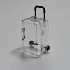 Ultra-small transparent trolley case