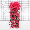 Rose garance