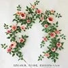 Peony of Wealth and Prosperity - Light Pink
