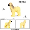 Zjs-144 Afghan Hound
