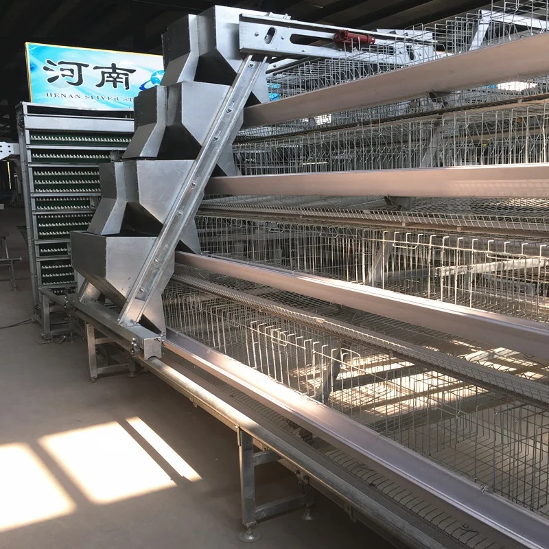 A Type 4 Tier Chicken Layer Battery Cage for 10000 Birds