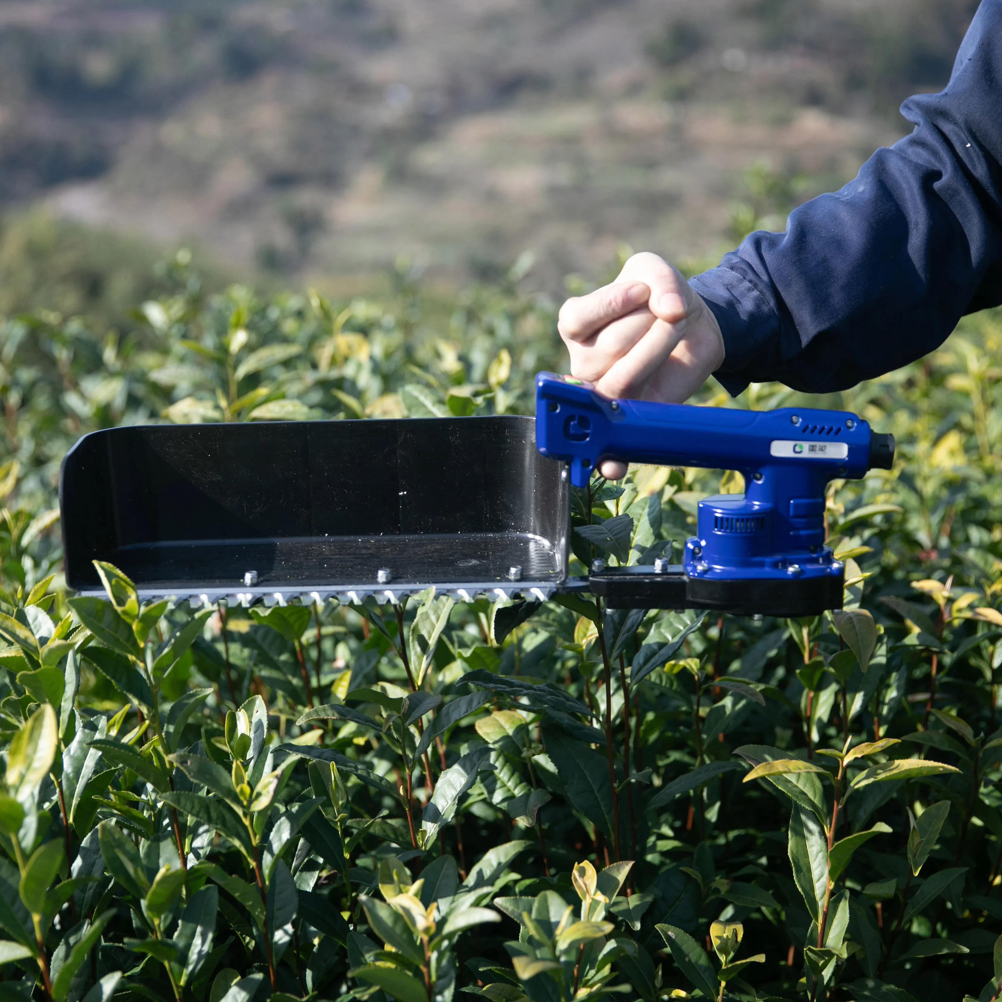 Agriculture Lightweight Tea Picking Harvester New Energy Lithium Battery Efficient Tea Leaf Precise Cutting Picker Machine
