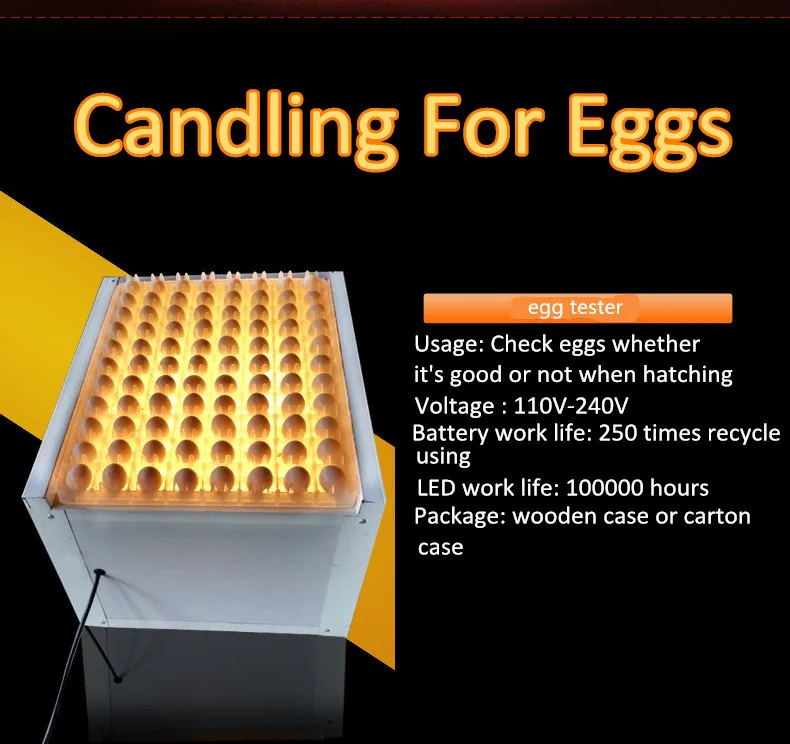 AC 220v fertile egg tester for incubator large egg capacity chicken egg tester