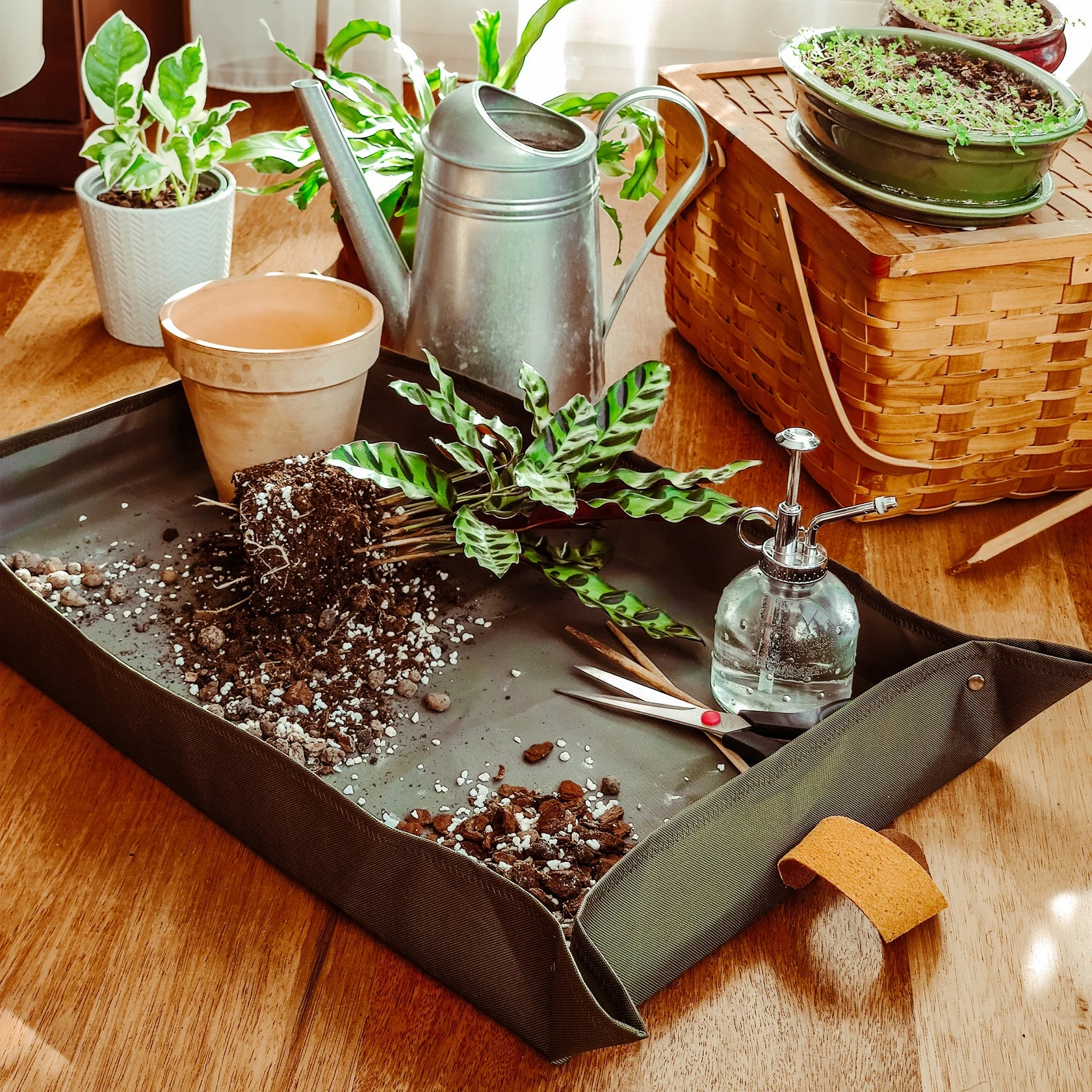 Garden Pot Potting Mat Repotting Tray Plant Potting Flowerpot Tarp Mat  Gardening Replacement Repotting Mats