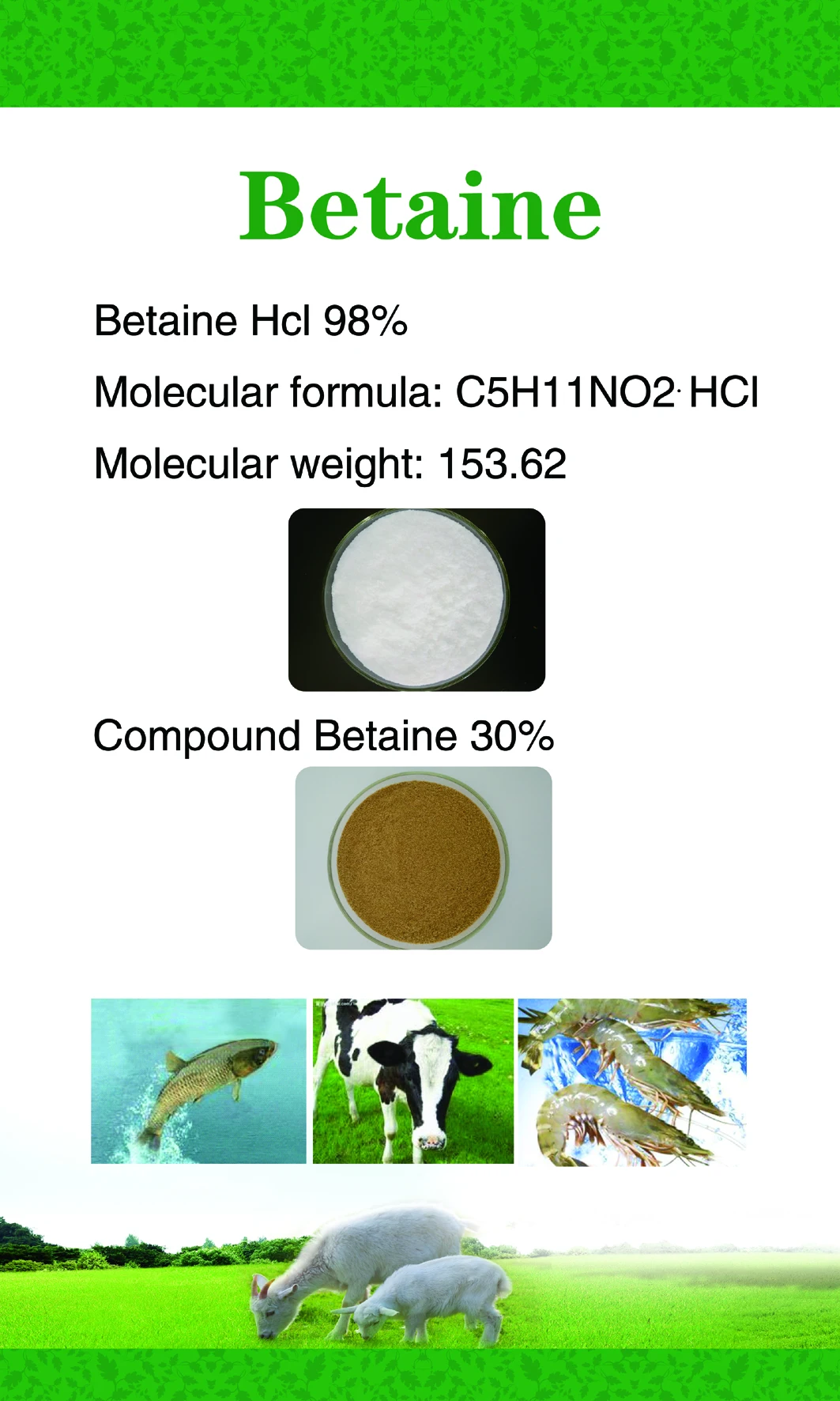 Кормовая добавка для животных, бетаин hcl, формирование корма для птицы, Усилитель роста животных, Активатор роста для рыбы, птицы и домашнего скота