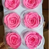 bright pink