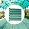 Green with white stripes