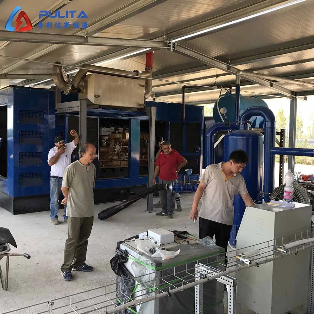 10MW Rice Husk Gasifier Waste Biomass Gasification Power Plant Electric Generator Wood Chips Gas Plant