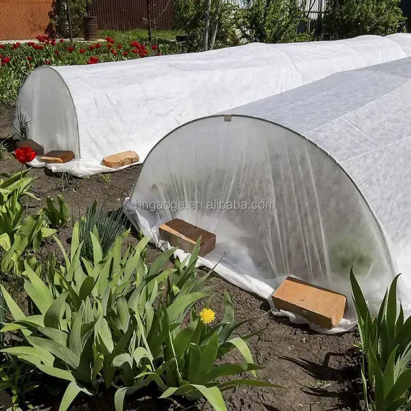 Factory Price Mothproof Biodegradable Recyclable Agriculture Nonwoven Fabric for Vegetable Plant Protection Cover Keep Warm