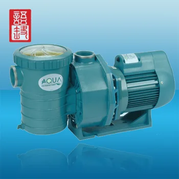Swimming Pool Water Circulation Pump with Strainer Essential Pool Supplies & Equipment plus Accessories