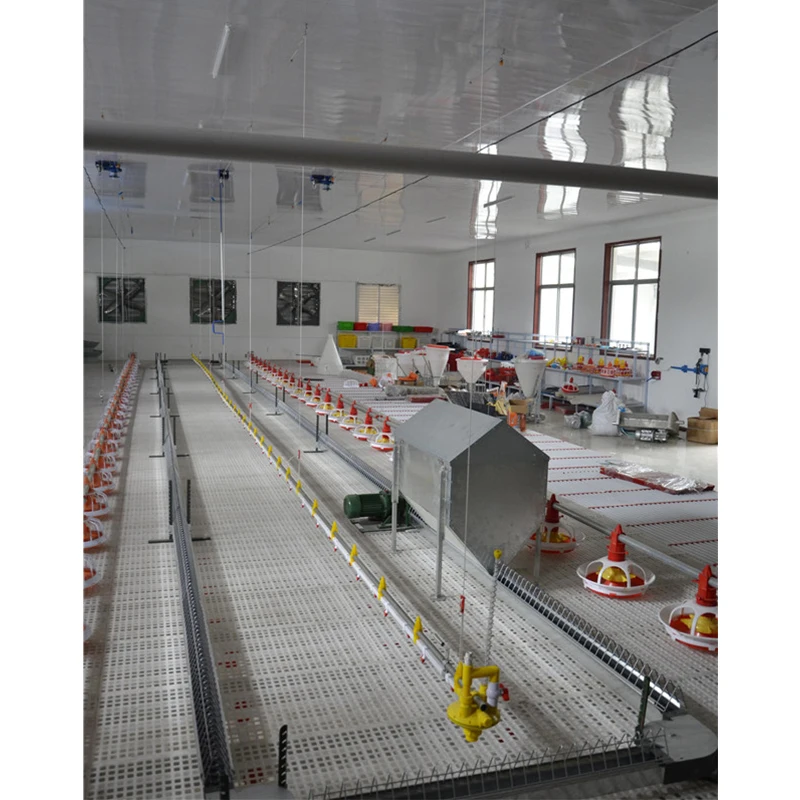 Automatic Feeder Poultry Chain Feeding System for Broiler