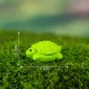 13-Pequeña tortuga verde