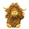Bovini delle Highland