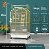 A900 Oro - Versione Aggiornata