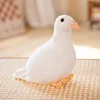 Piccione bianco