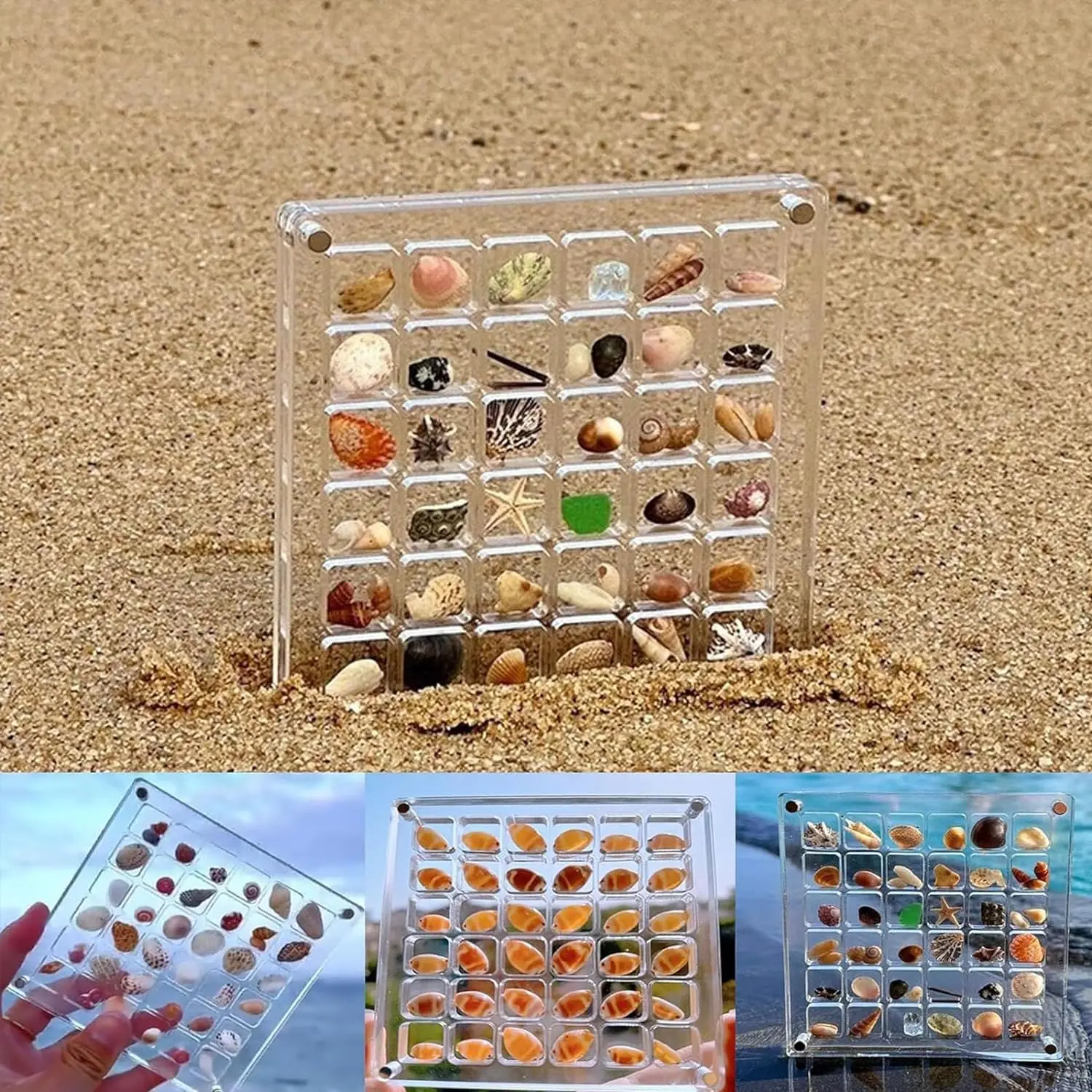 32/64 Grids Acrylic Magnetic Seashell Starfish Display Box Nail Diamond Gemstone Bead Jewelry Organizers Container details