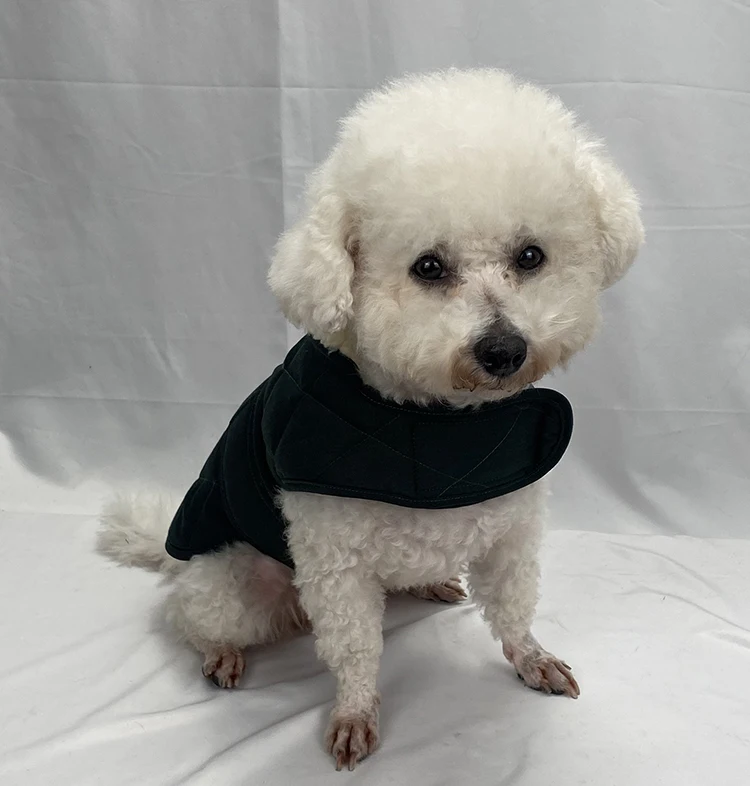 Hellomoon Custom Polyester Wholesale Dog Supplies Pet Dog Clothes Large