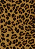 JD26917-DY