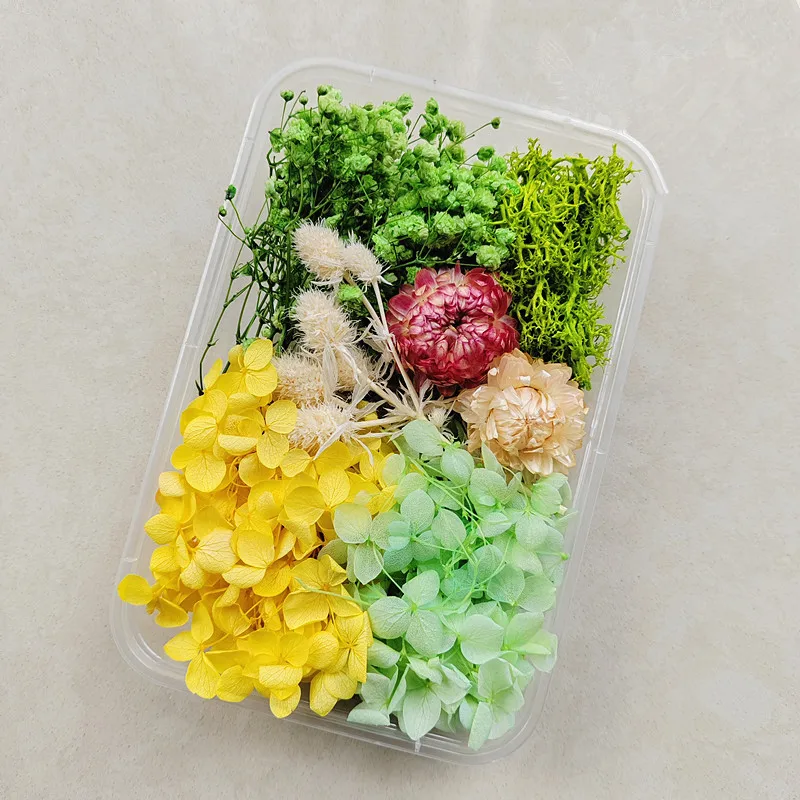 Factory Supply Dry Flowers Aromatherapy Candle Diy Materials Real