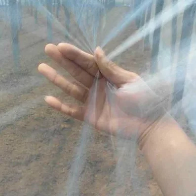 Greenhouse Covering