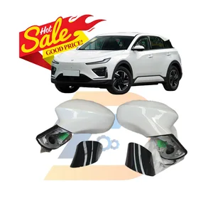 Automobile Car Mirror Left Right Side Rearview Mirror for Neta X Rear View Mirror OEM in Stock